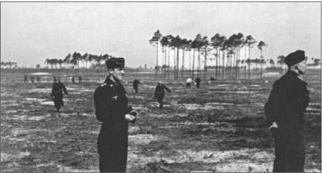 Иллюстрация к книге — &quot;Тигры&quot; в снегу. Мемуары танкового аса [i_147.jpg]