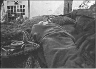 Иллюстрация к книге — &quot;Тигры&quot; в снегу. Мемуары танкового аса [i_226.jpg]