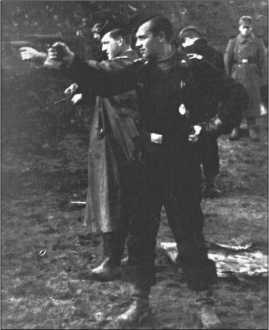 Иллюстрация к книге — &quot;Тигры&quot; в снегу. Мемуары танкового аса [i_264.jpg]