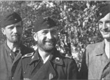 Иллюстрация к книге — &quot;Тигры&quot; в снегу. Мемуары танкового аса [i_266.jpg]