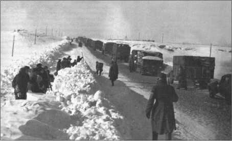 Иллюстрация к книге — &quot;Тигры&quot; в снегу. Мемуары танкового аса [i_312.jpg]