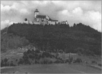 Иллюстрация к книге — &quot;Тигры&quot; в снегу. Мемуары танкового аса [i_328.jpg]