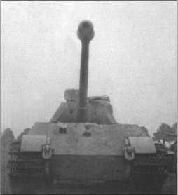 Иллюстрация к книге — &quot;Тигры&quot; в снегу. Мемуары танкового аса [i_331.jpg]