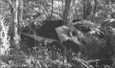 Иллюстрация к книге — &quot;Тигры&quot; в снегу. Мемуары танкового аса [i_347.jpg]