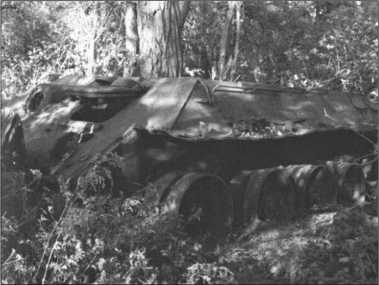 Иллюстрация к книге — &quot;Тигры&quot; в снегу. Мемуары танкового аса [i_348.jpg]