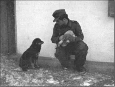 Иллюстрация к книге — &quot;Тигры&quot; в снегу. Мемуары танкового аса [i_355.jpg]