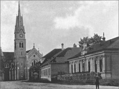 Иллюстрация к книге — &quot;Тигры&quot; в снегу. Мемуары танкового аса [i_366.jpg]