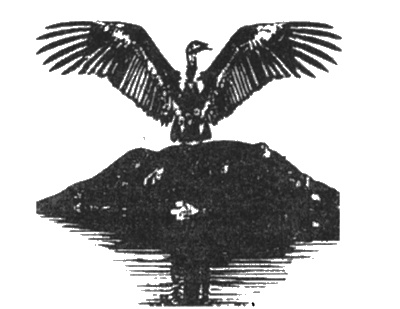 Иллюстрация к книге — Боги Эдема [i_072.jpg]