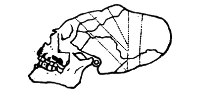 Иллюстрация к книге — Боги Эдема [i_076.jpg]