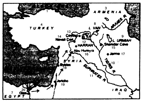 Иллюстрация к книге — Боги Эдема [i_090.jpg]
