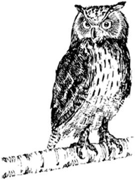 Иллюстрация к книге — Волшебный поезд Джоан Роулинг [img8518.jpg]