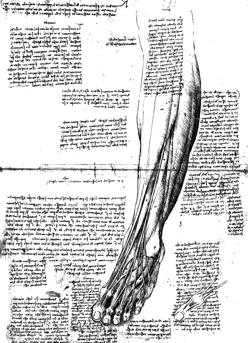 Иллюстрация к книге — Леонардо да Винчи. О науке и искусстве [_197.jpg]