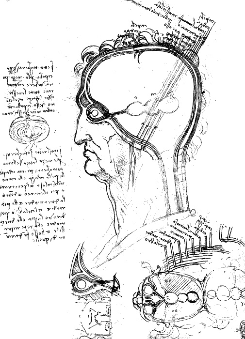 Иллюстрация к книге — Леонардо да Винчи. О науке и искусстве [_298.jpg]