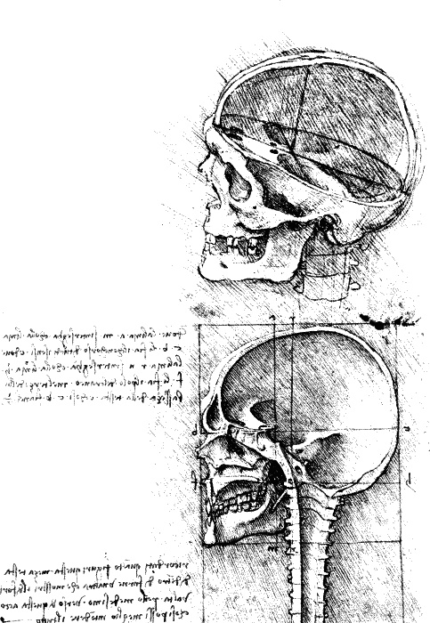 Иллюстрация к книге — Леонардо да Винчи. О науке и искусстве [_299.jpg]