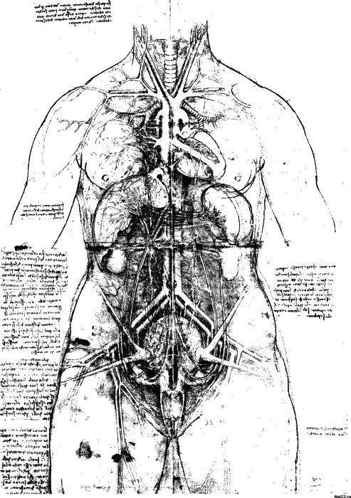 Иллюстрация к книге — Леонардо да Винчи. О науке и искусстве [_310.jpg]
