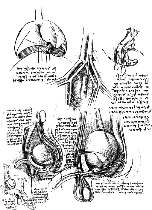 Иллюстрация к книге — Леонардо да Винчи. О науке и искусстве [_311.jpg]