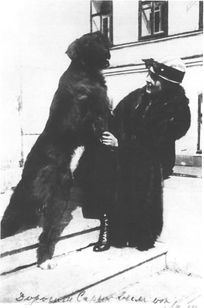 Иллюстрация к книге — Маяковский. Самоубийство [i_029.jpg]