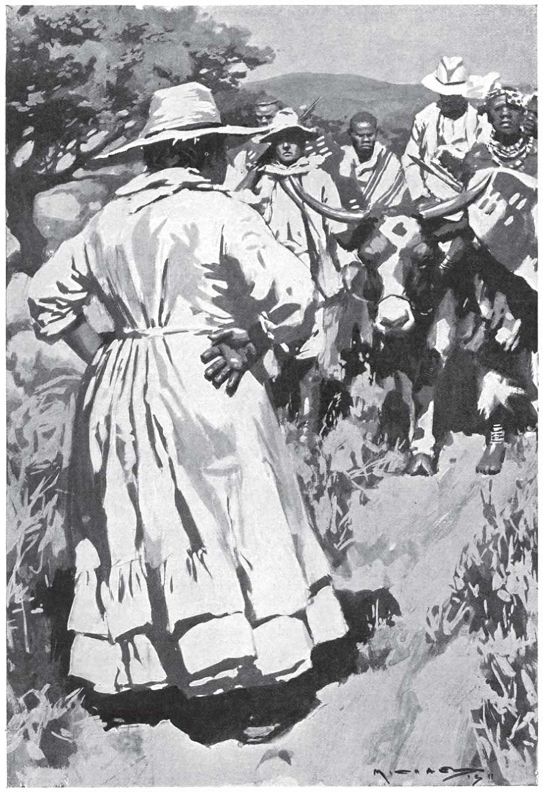 Иллюстрация к книге — Мари. Дитя Бури. Обреченный [i_015.jpg]