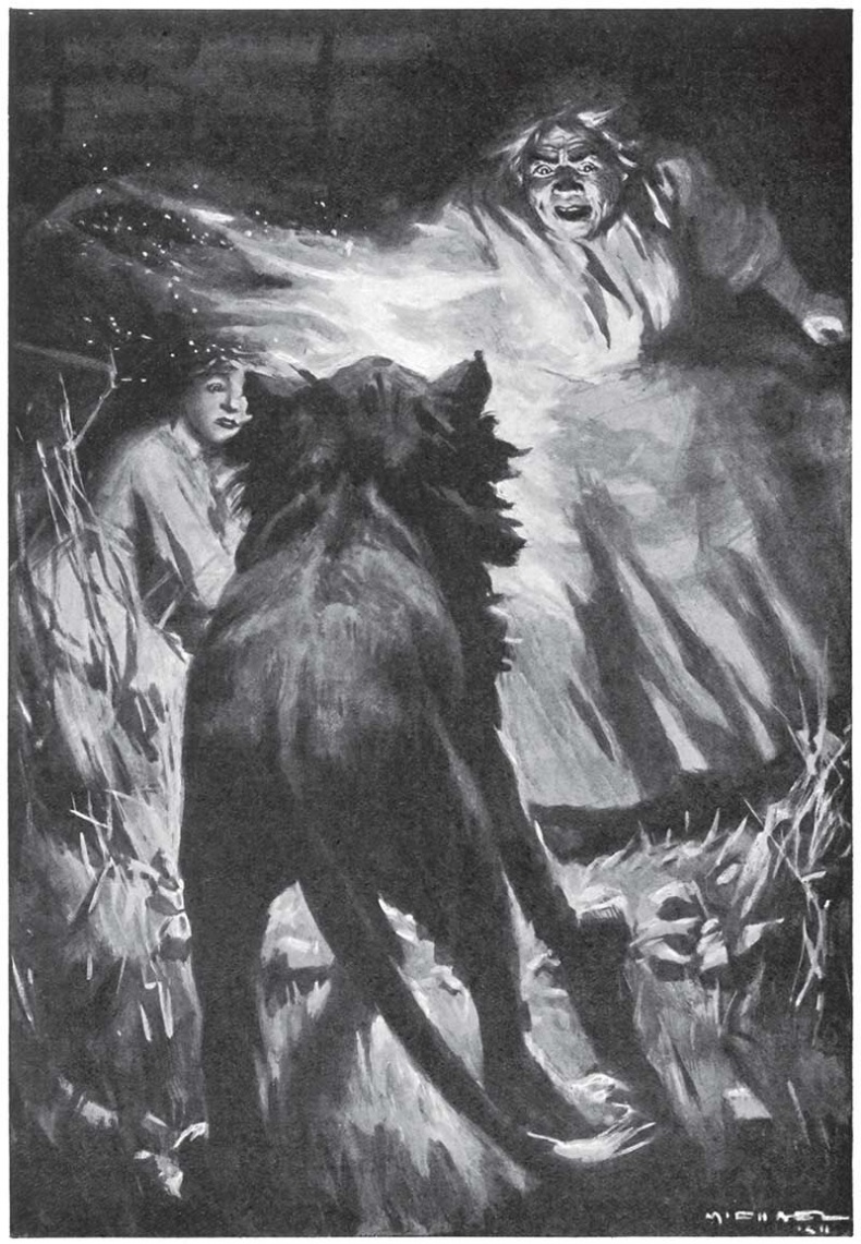 Иллюстрация к книге — Мари. Дитя Бури. Обреченный [i_018.jpg]