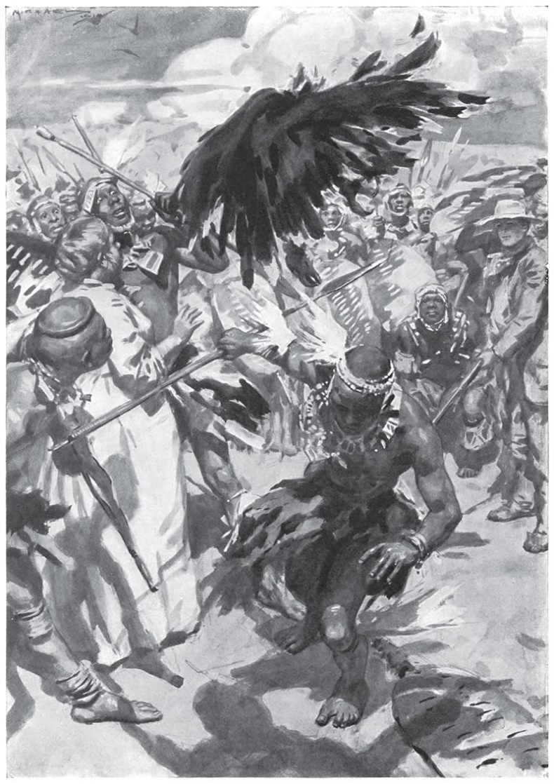 Иллюстрация к книге — Мари. Дитя Бури. Обреченный [i_019.jpg]