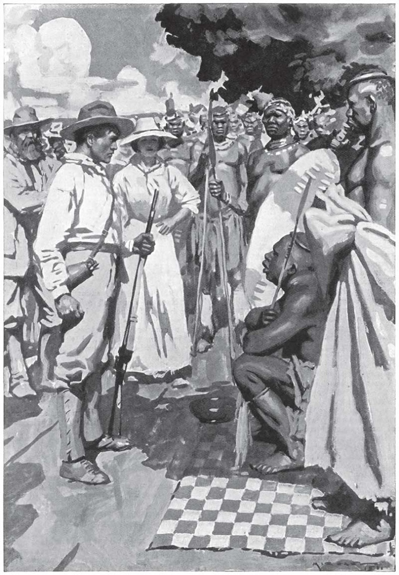 Иллюстрация к книге — Мари. Дитя Бури. Обреченный [i_020.jpg]