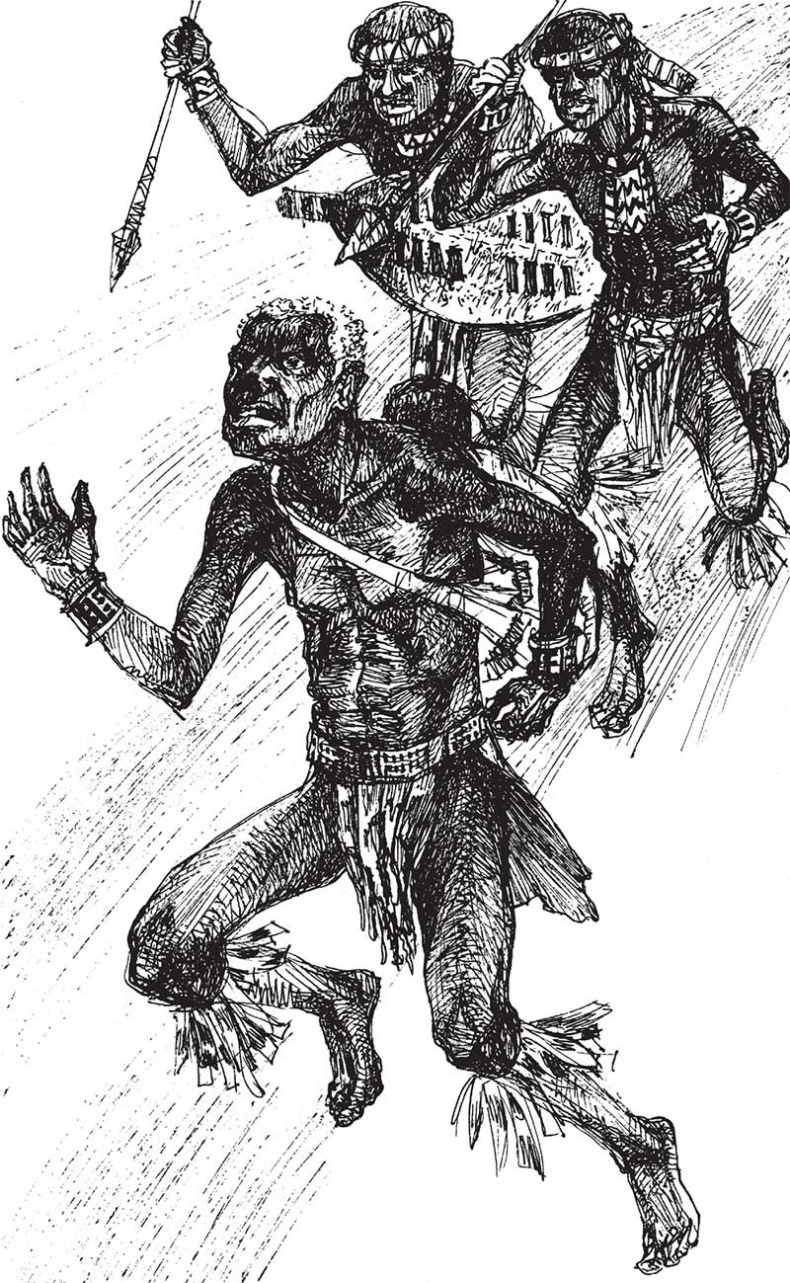 Иллюстрация к книге — Мари. Дитя Бури. Обреченный [i_036.jpg]