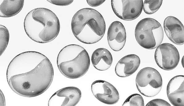 Иллюстрация к книге — Тайны космонавтики [i_083.jpg]