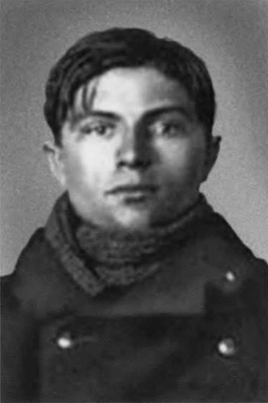 Иллюстрация к книге — Берзарин [i_008.jpg]