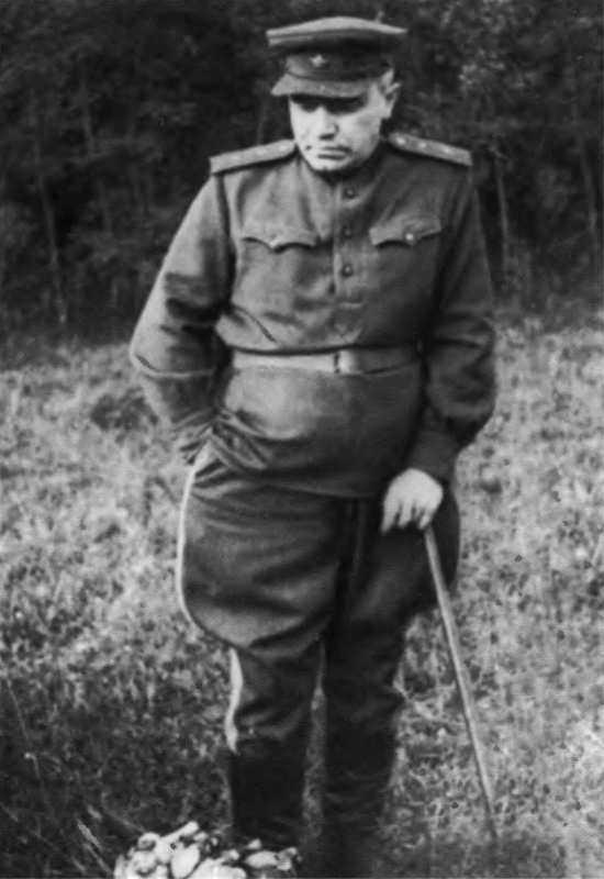 Иллюстрация к книге — Берзарин [i_041.jpg]