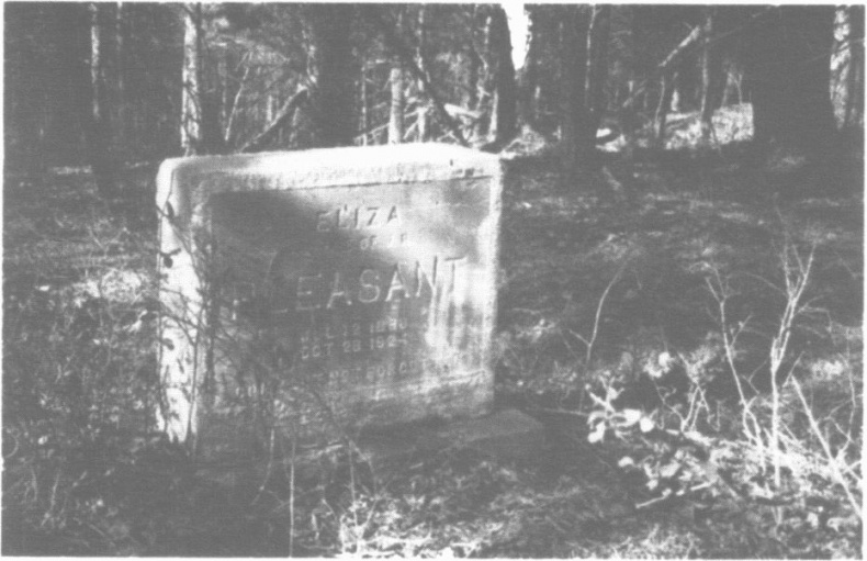 Иллюстрация к книге — Бессмертная жизнь Генриетты Лакс [i_029.jpg]