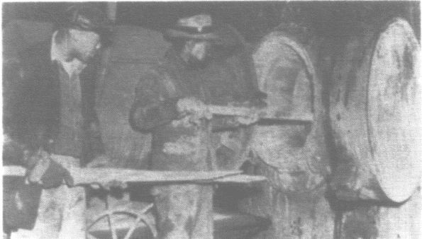 Иллюстрация к книге — Бессмертная жизнь Генриетты Лакс [i_032.jpg]