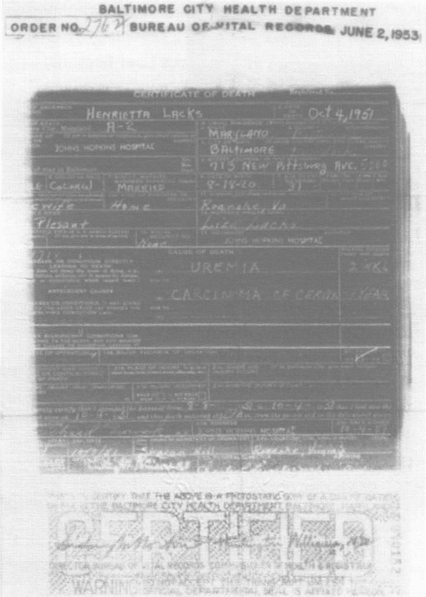 Иллюстрация к книге — Бессмертная жизнь Генриетты Лакс [i_035.jpg]