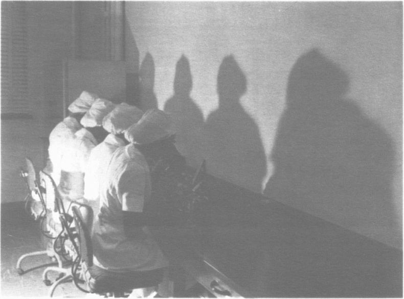 Иллюстрация к книге — Бессмертная жизнь Генриетты Лакс [i_040.jpg]