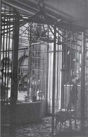 Иллюстрация к книге — Моя шокирующая жизнь [i_048.jpg]