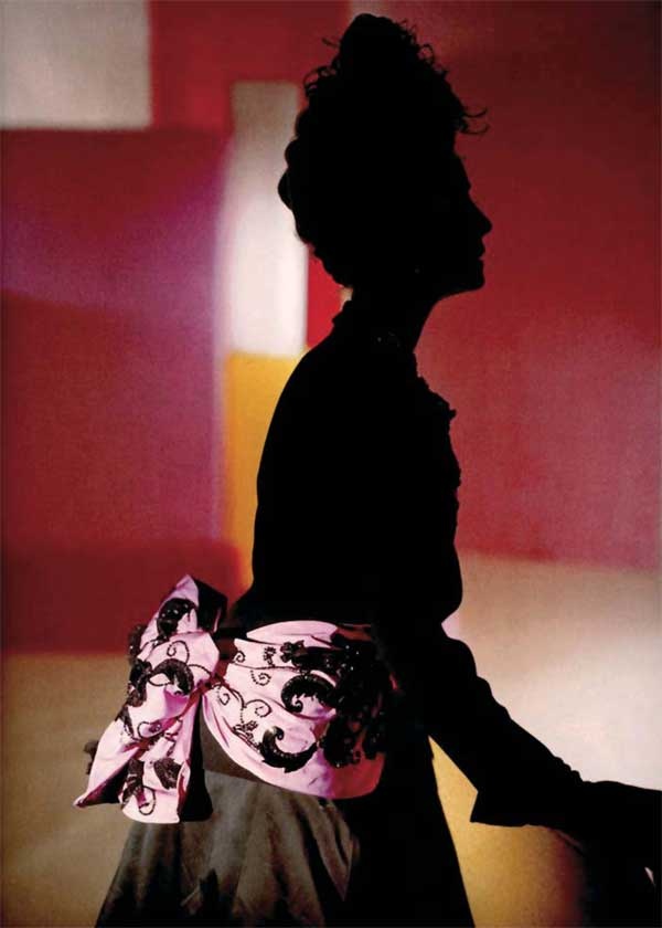 Иллюстрация к книге — Моя шокирующая жизнь [i_061.jpg]