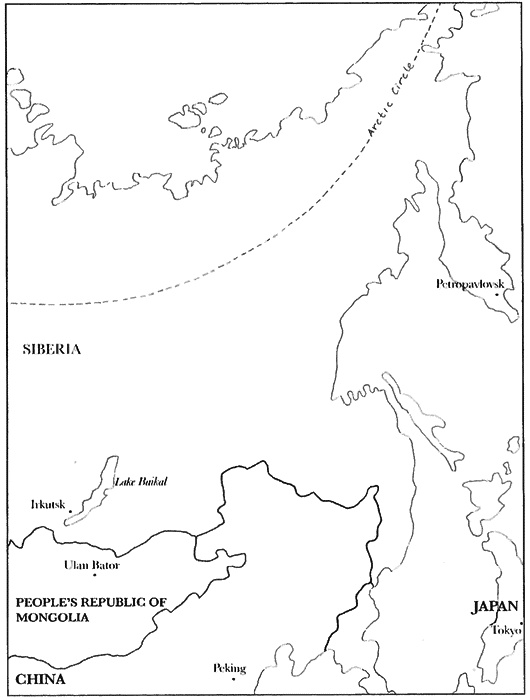 Иллюстрация к книге — Товарищ Павлик. Взлет и падение советского мальчика-героя [i_001.jpg]