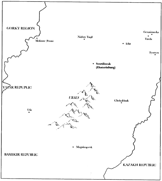 Иллюстрация к книге — Товарищ Павлик. Взлет и падение советского мальчика-героя [i_002.jpg]