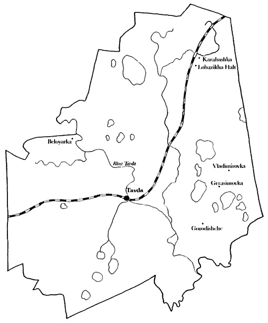 Иллюстрация к книге — Товарищ Павлик. Взлет и падение советского мальчика-героя [i_003.jpg]