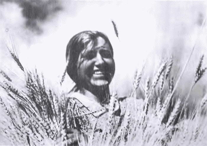 Иллюстрация к книге — Товарищ Павлик. Взлет и падение советского мальчика-героя [i_007.jpg]