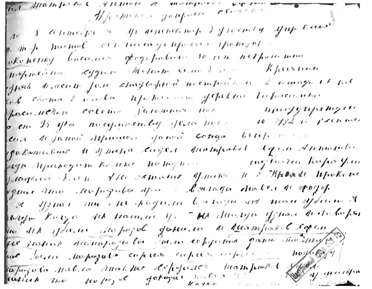 Иллюстрация к книге — Товарищ Павлик. Взлет и падение советского мальчика-героя [i_013.jpg]