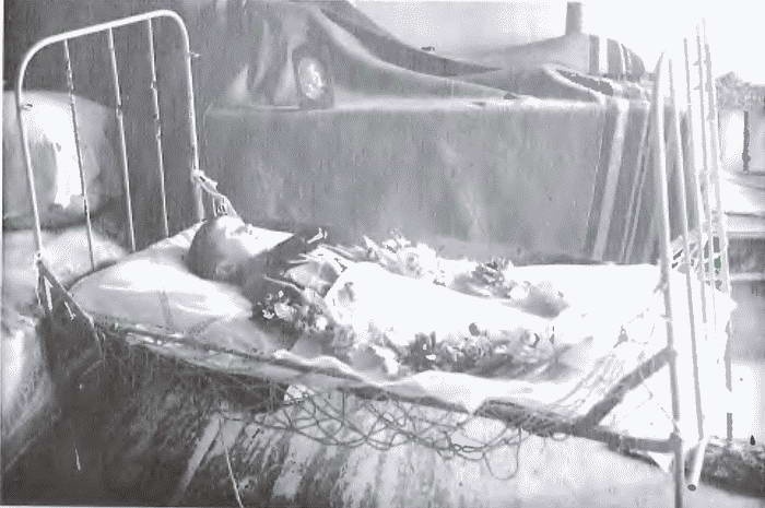 Иллюстрация к книге — Товарищ Павлик. Взлет и падение советского мальчика-героя [i_034.jpg]