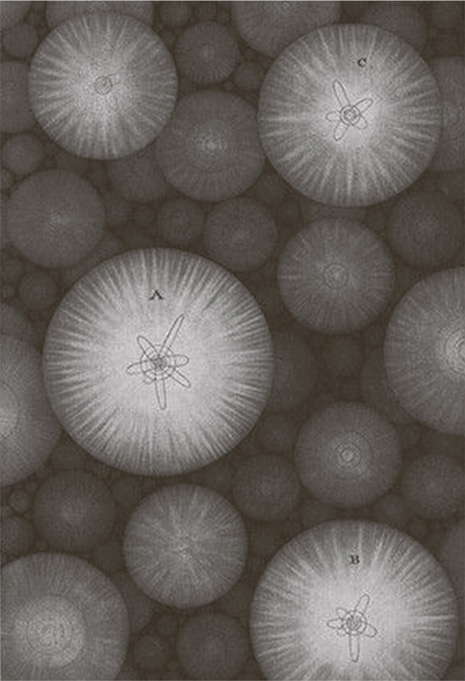 Иллюстрация к книге — Наука в поисках Бога [i_009.jpg]