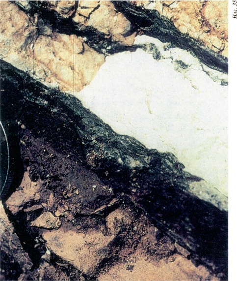 Иллюстрация к книге — Наука в поисках Бога [i_044.jpg]