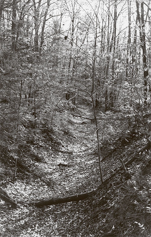 Иллюстрация к книге — Я пасу облака [i_005.jpg]