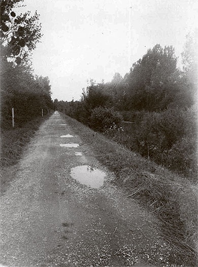 Иллюстрация к книге — Я пасу облака [i_012.jpg]