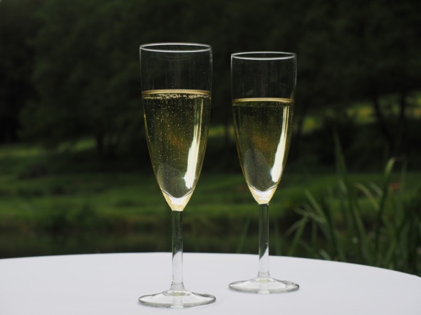 Иллюстрация к книге — Алкогольные напитки и культура пития. Систематическая энциклопедия от Алкофана [i_021.jpg]