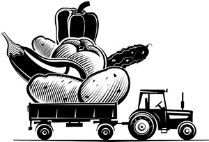 Иллюстрация к книге — Маринады, соленья, закуски. Лучшие рецепты для застолья из вашего урожая [i_003.jpg]