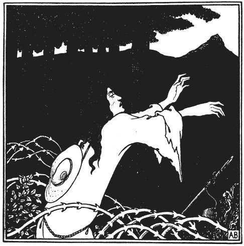 Иллюстрация к книге — Обри Бердслей. Биография [i_030.jpg]