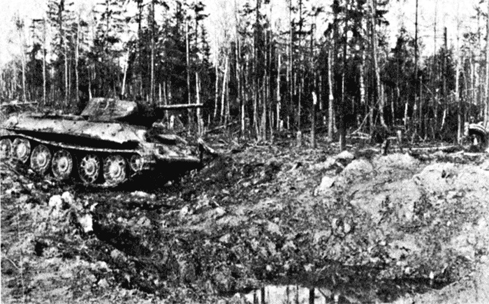 Иллюстрация к книге — Трагедия на Неве. Шокирующая правда о блокаде Ленинграда. 1941-1944 [i_009.jpg]