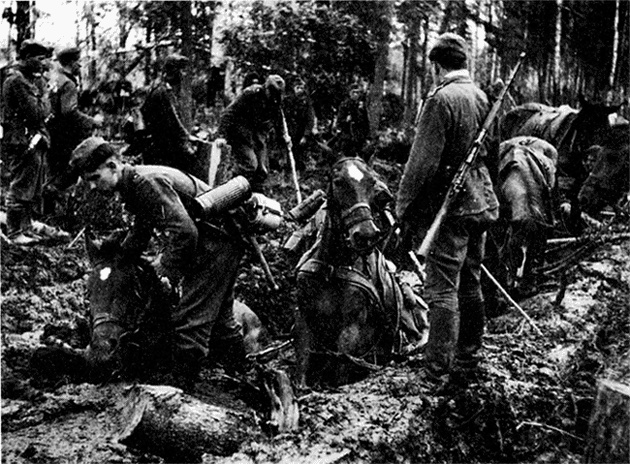 Иллюстрация к книге — Трагедия на Неве. Шокирующая правда о блокаде Ленинграда. 1941-1944 [i_015.jpg]